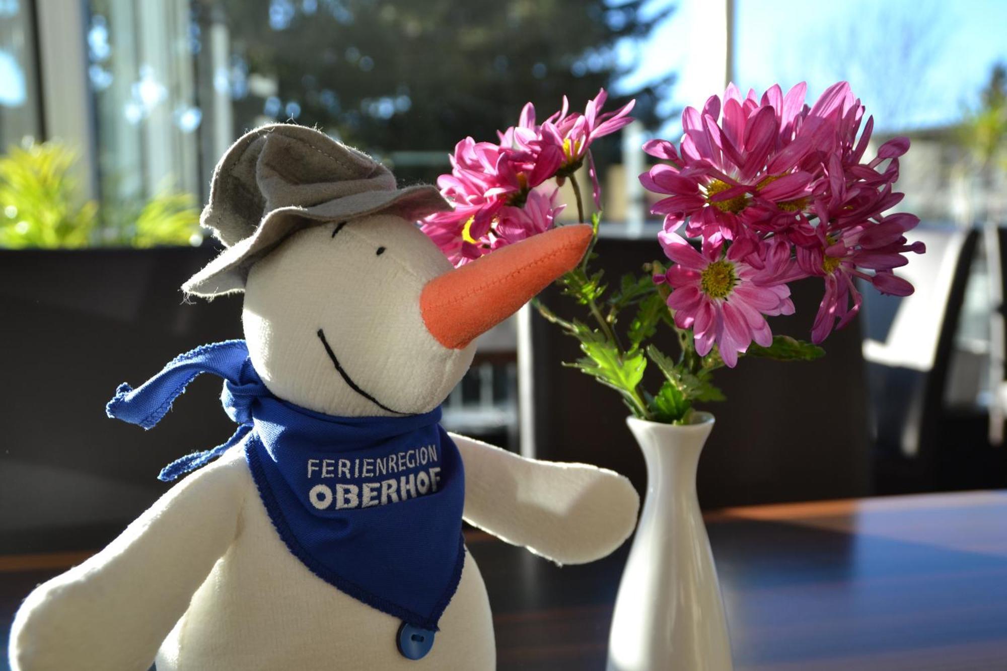 Chalet Sonnenhang Oberhof Eksteriør billede